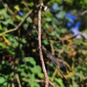Les baies de Somme, Beauvais et Amiens 👌 #france #landscape #nature #sea